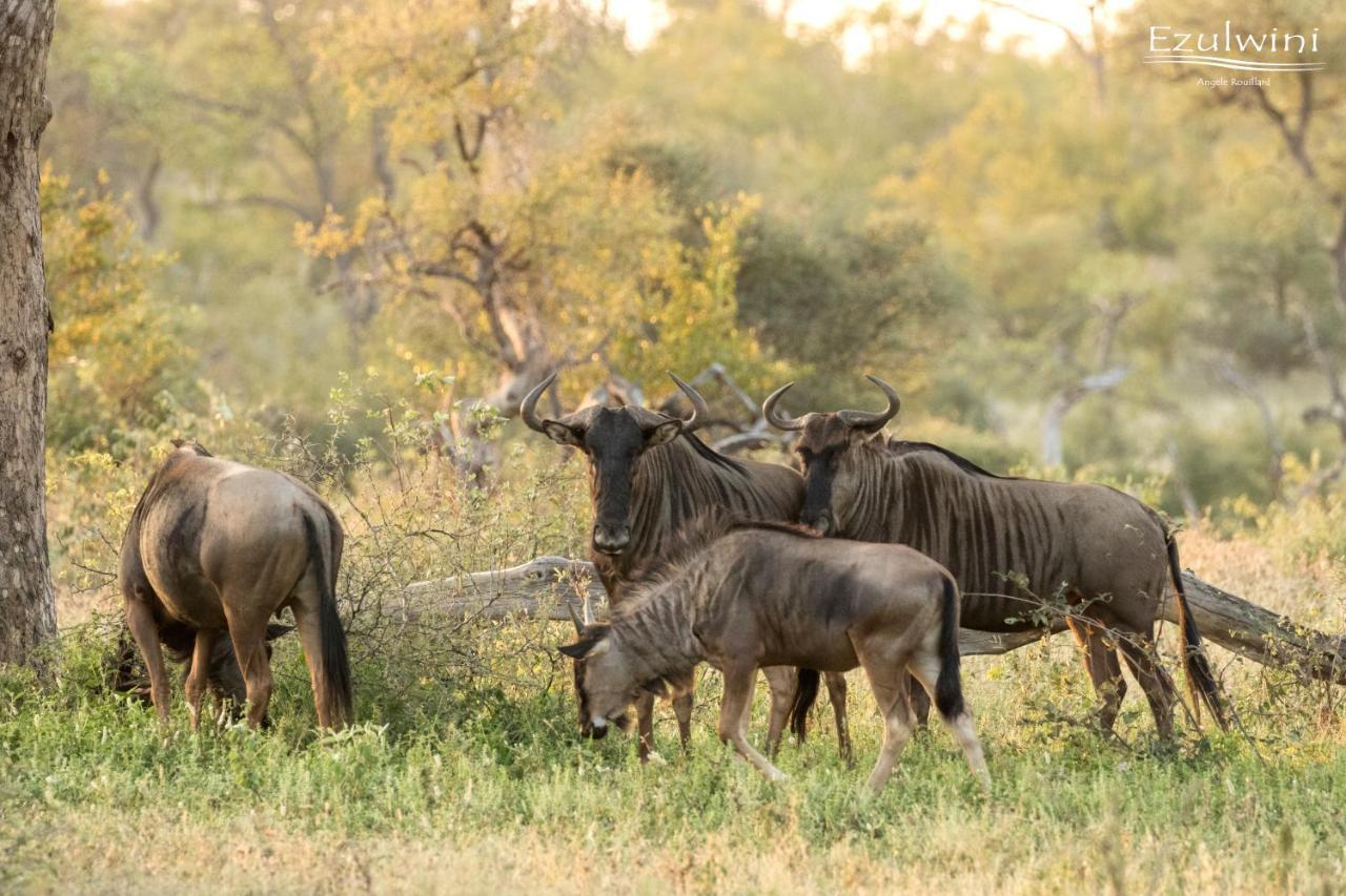 Ezulwini Game Lodges Mica Exterior foto